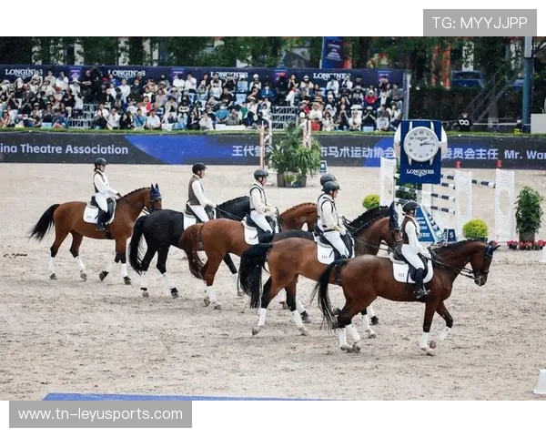 瑞士马术协会与欧洲马术协会签署合作协议,共同举办国际赛事。 瑞士马术协会与欧洲马术协会签署合作协议,共同举办国际赛事。