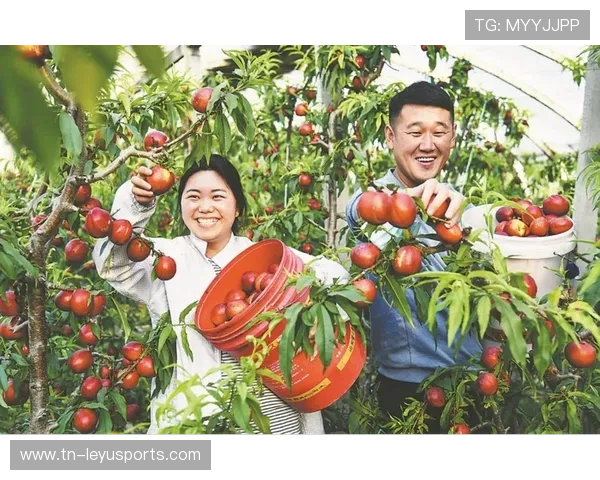 篮球运动助推农村振兴,乡村振兴战略中的新亮点,乡村篮球活动照片 篮球运动助推农村振兴,乡村振兴战略中的新亮点,乡村篮球活动照片